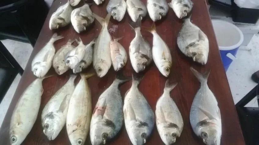 Daily Fishing Tour from Oludeniz – Boat Fishing & Grilled Catch Lunch — photo 6