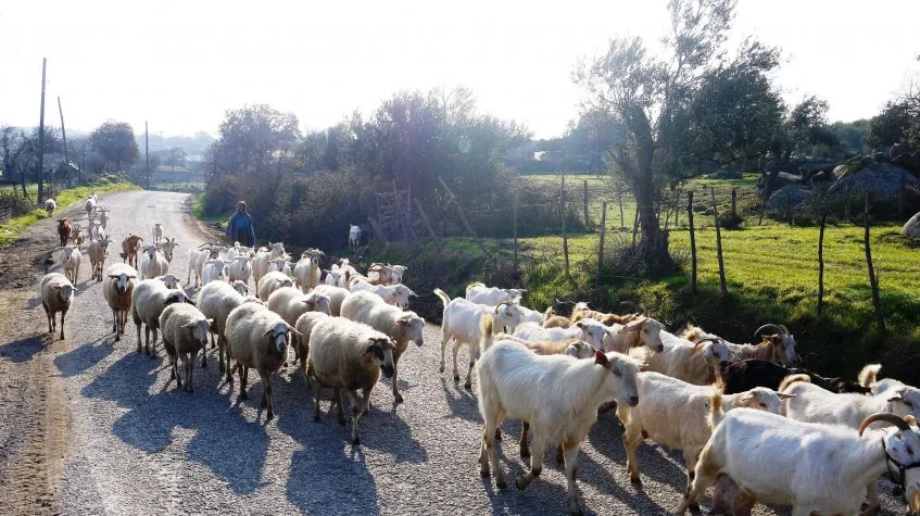 Altınbeşik Cave & Ormana Village Tour from Antalya — photo 8