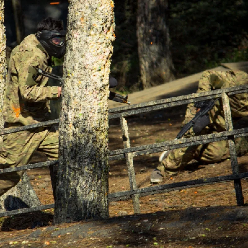 Paintball Experience in Beykoz from Istanbul – Forest Arena Team Game — photo 7