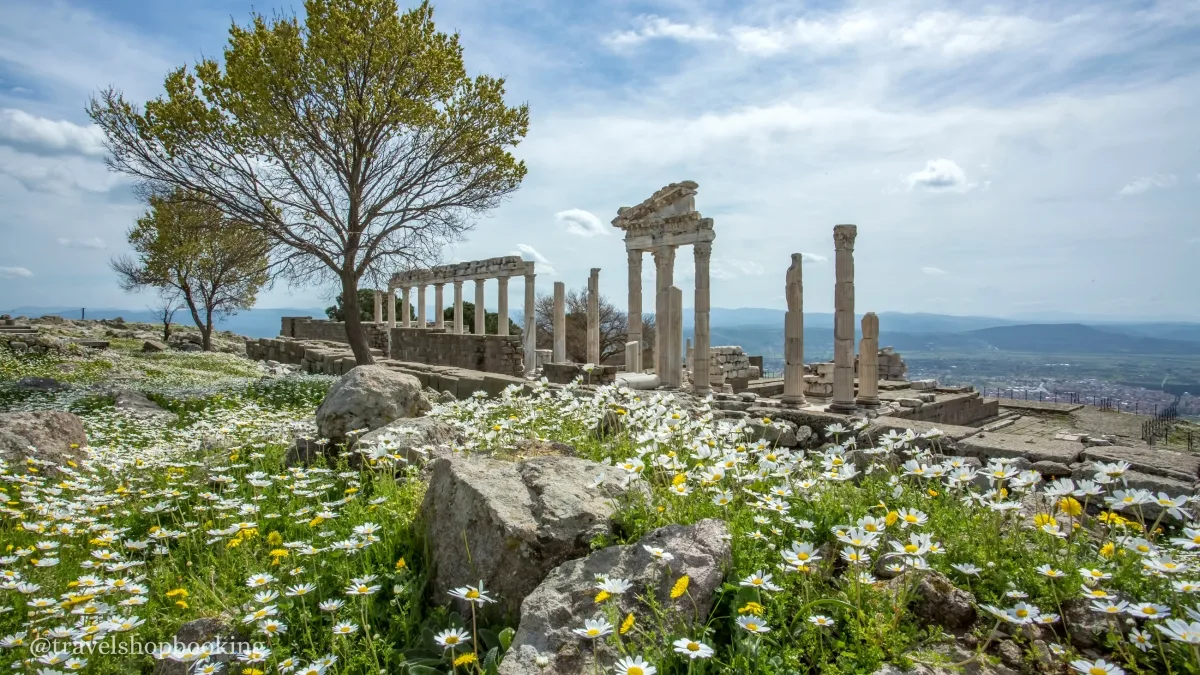 Daily Pergamon Tour from Izmir (Shared) — photo 2