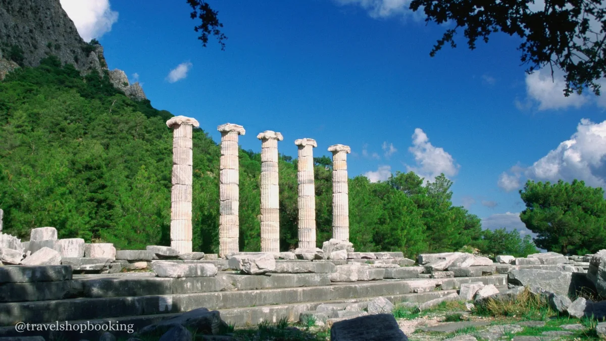 Daily Priene, Miletus & Didyma Tour from Izmir — photo 2