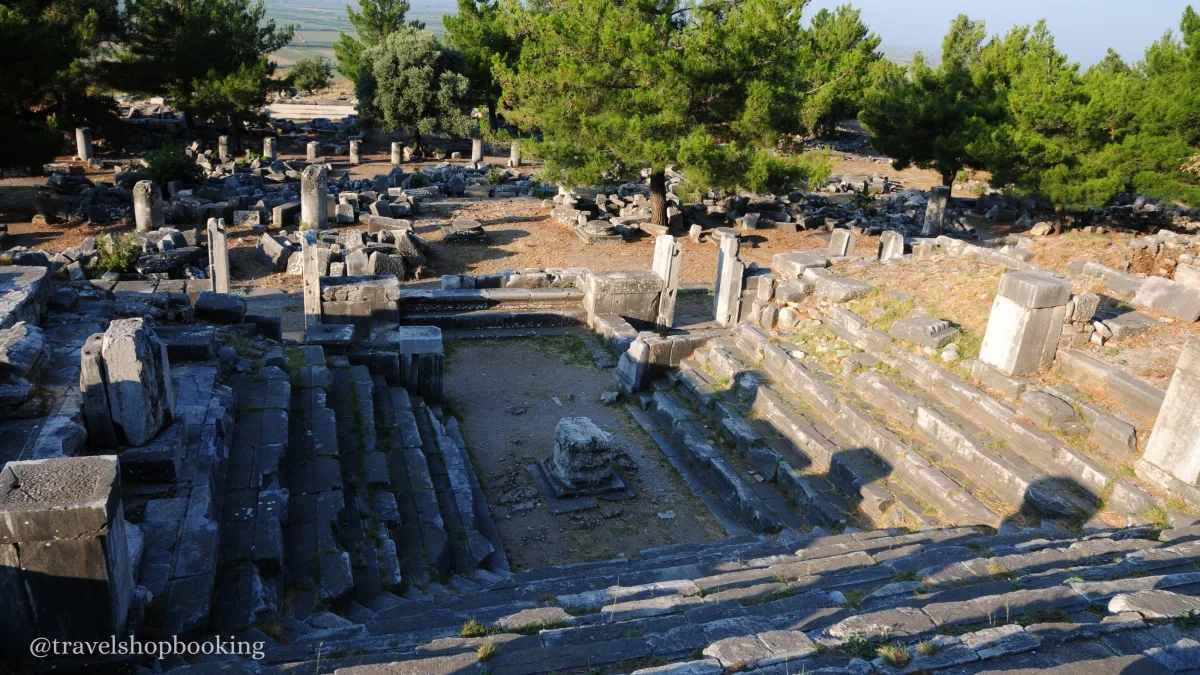 Daily Priene, Miletus & Didyma Tour from Izmir — photo 6