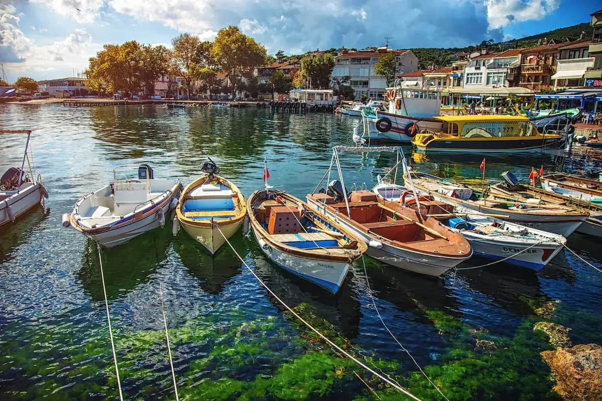 Daily Princes' Islands Tour from Istanbul