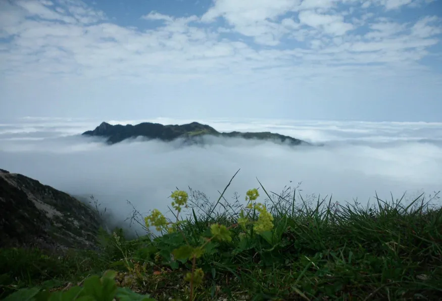 Daily Rize Anzer Plateau Tour (Shared)