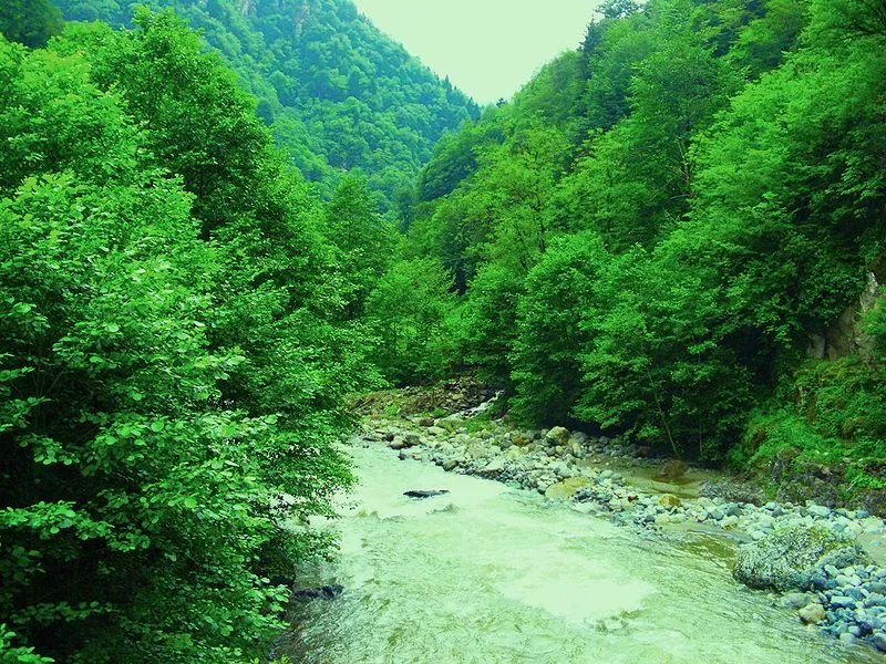 Daily Rize Anzer Plateau Tour (Shared) — photo 9