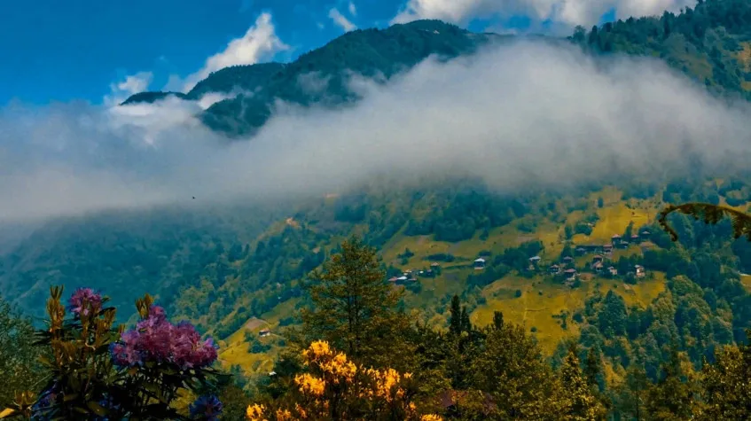 Daily Rize Ayder Tour (Private) — photo 7