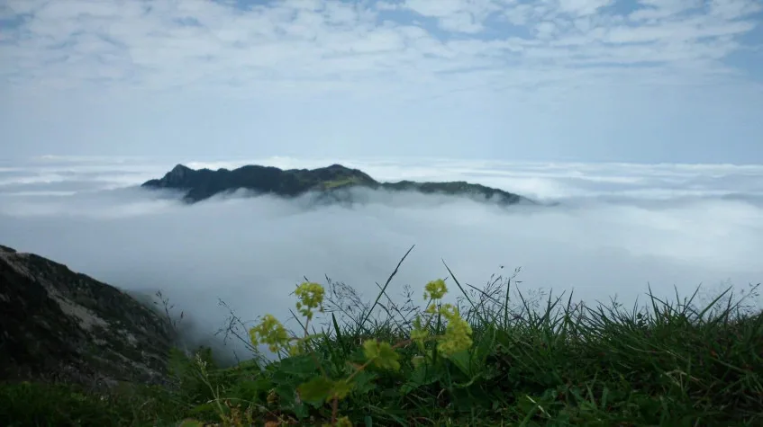 Daily Rize Cultural Tour — photo 4