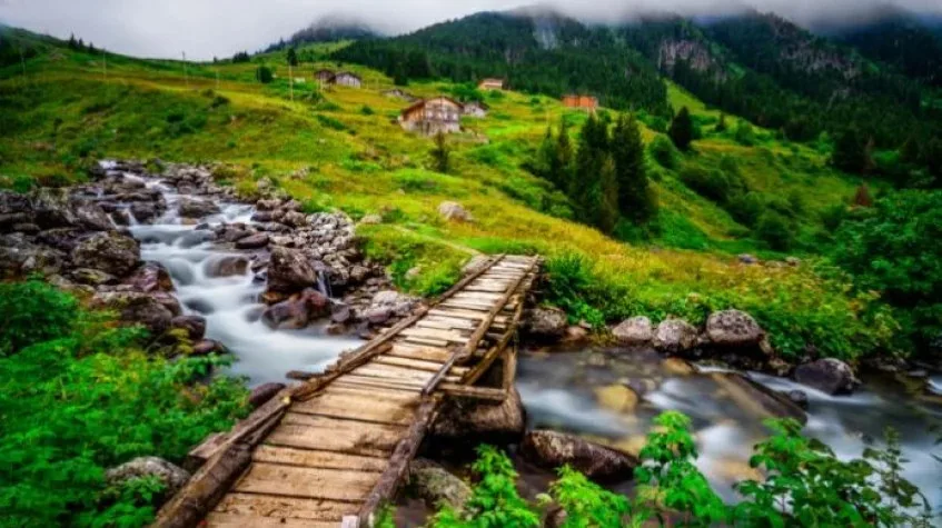 Daily Rize Pokut Plateau Tour — photo 2