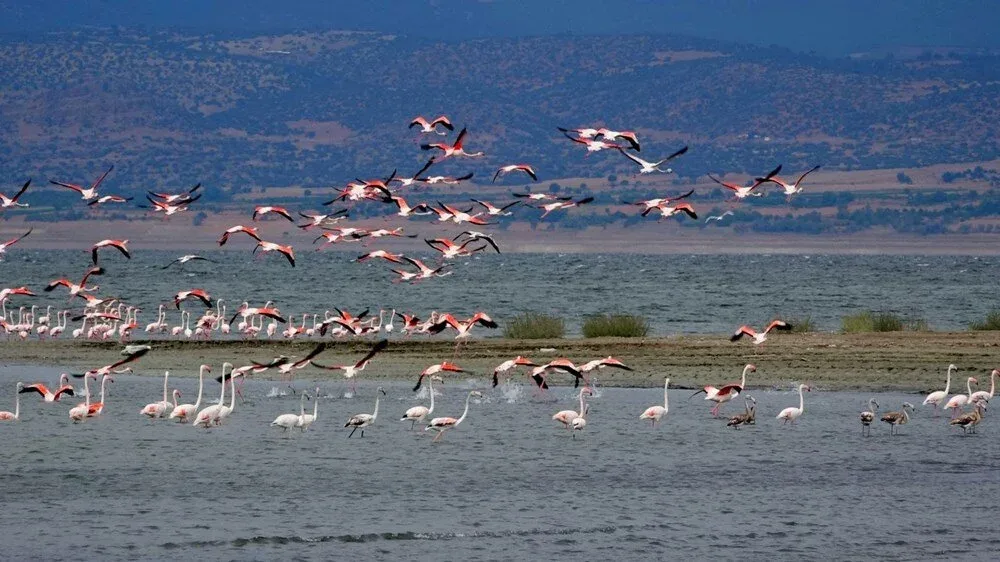 Daily Sagalassos & Salda Lake Tour from Belek – Hilltop Ruins & Crater Lake (Shared) — photo 14