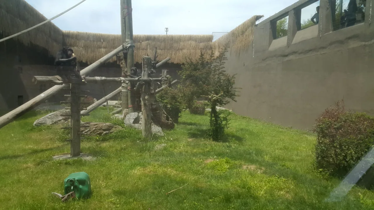 Sapanca Lake, Masukiye & Darica Zoo Day Tour from Istanbul — photo 4