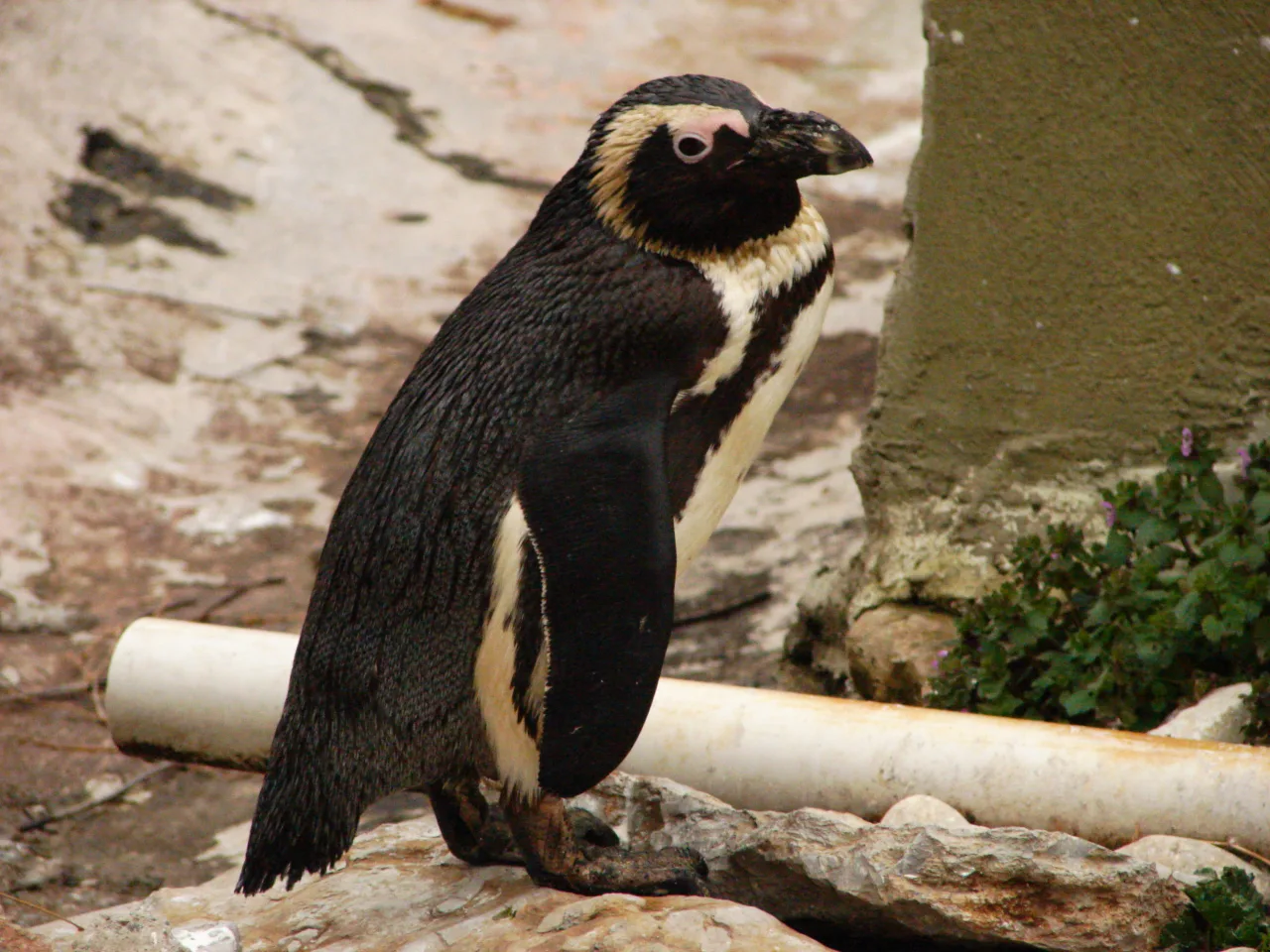 Sapanca Lake, Masukiye & Darica Zoo Day Tour from Istanbul — photo 5
