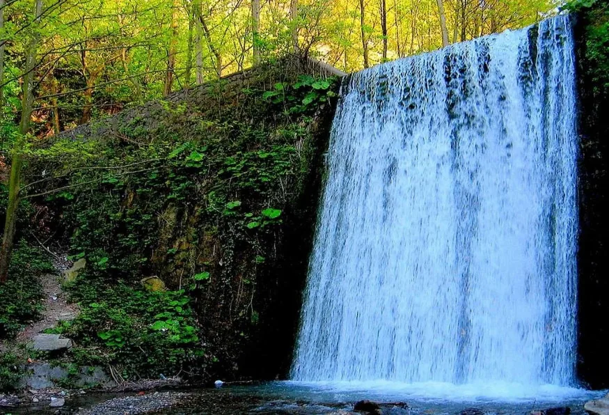 Daily Sapanca Masukiye Tour from Bolu — photo 2