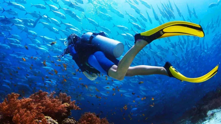 Scuba Diving in Ölüdeniz — Dive the Blue Mediterranean — photo 3