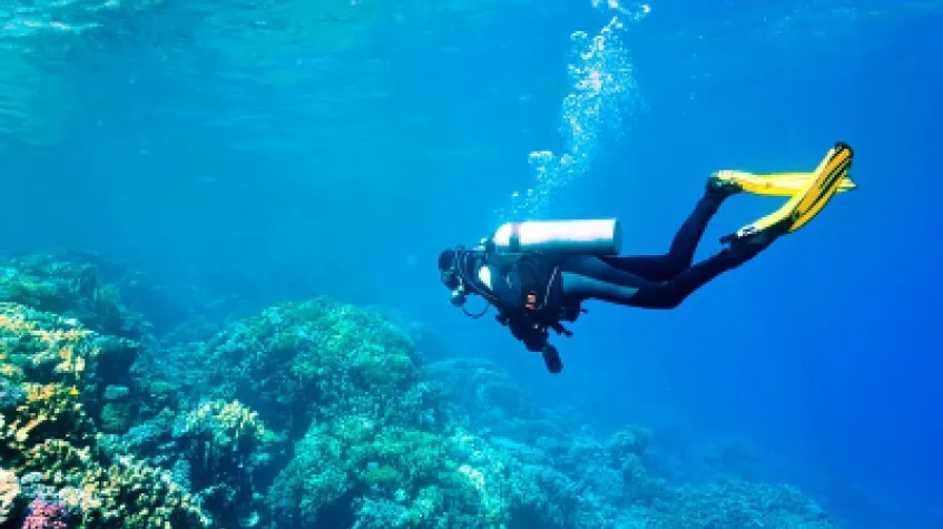 Daily Scuba Diving Tour Bodrum — photo 4