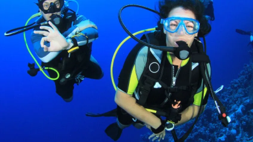 Daily Scuba Diving Tour Bodrum — photo 5