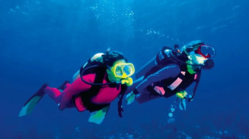Daily Scuba Diving Tour Bodrum — photo 6
