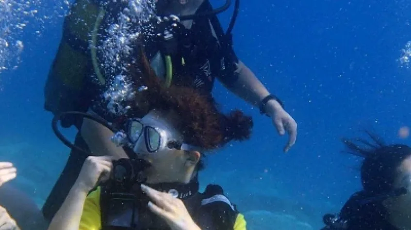 Daily Scuba Diving Tour Bodrum — photo 8