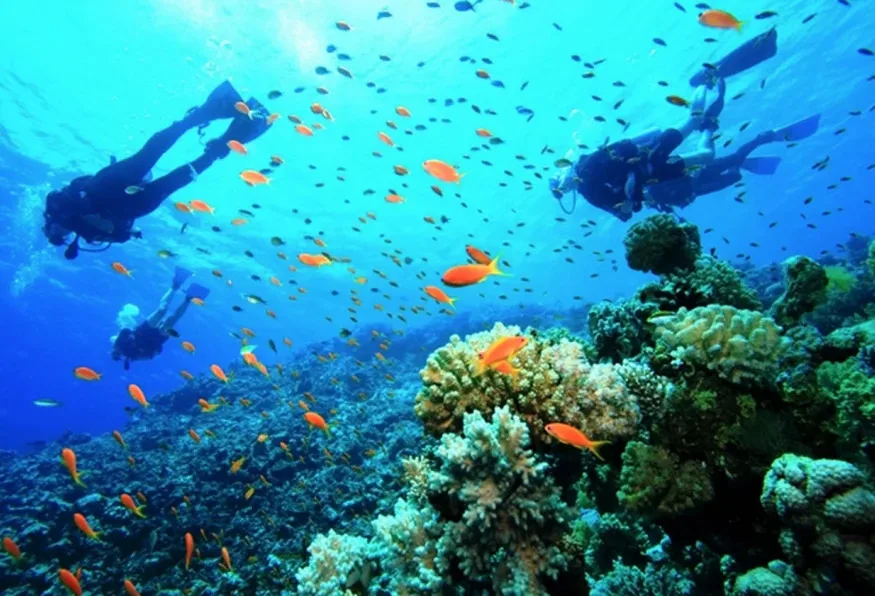 Daily Scuba Diving Tour from Belek – Two Mediterranean Dives off Kemer — photo 5