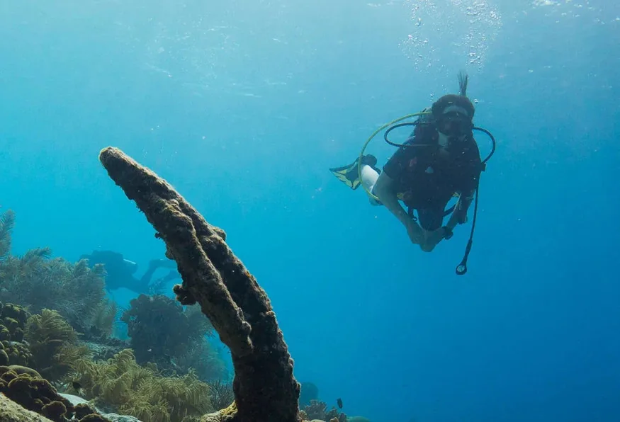 Daily Scuba Diving Tour from Belek – Two Mediterranean Dives off Kemer — photo 7