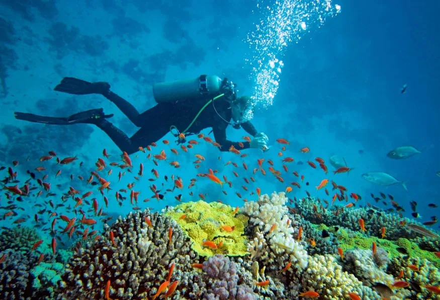 Daily Scuba Diving Tour from Kemer – Two Dives at Kiris Bays — photo 2