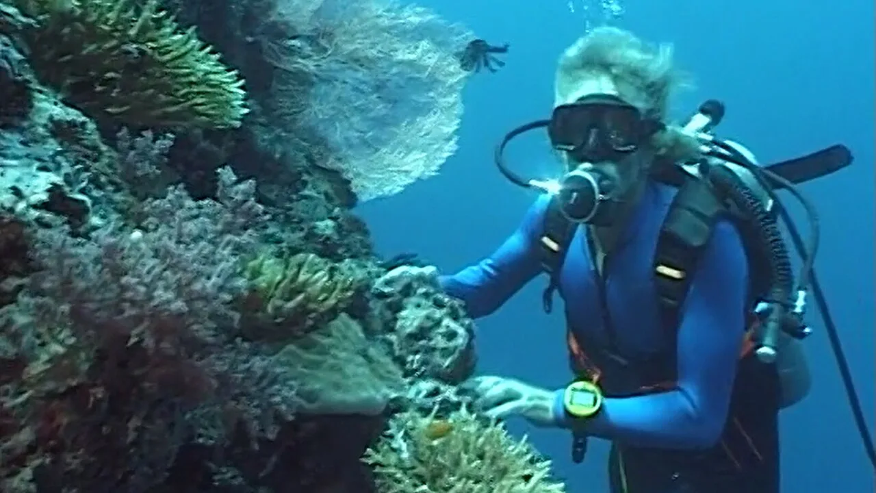 Daily Scuba Diving Tour from Manavgat