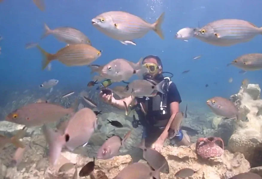 Daily Scuba Diving Tour from Selcuk – Aegean Reefs & Shipwrecks — photo 2