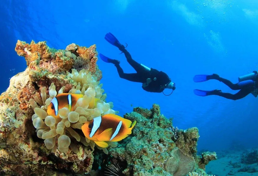 Daily Scuba Diving Tour from Selcuk – Aegean Reefs & Shipwrecks — photo 3