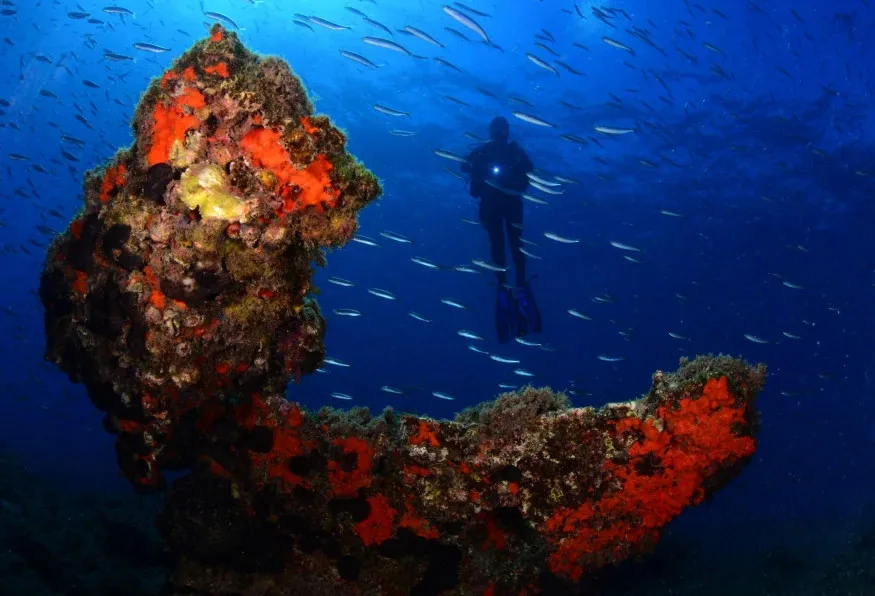Daily Scuba Diving Tour from Selcuk – Aegean Reefs & Shipwrecks — photo 5