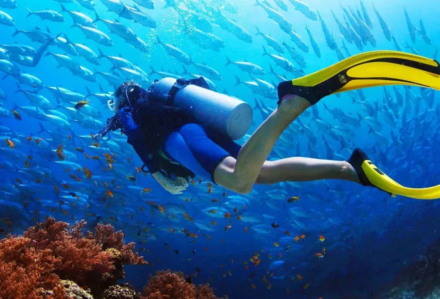 Kusadasi Scuba Diving Day Tour – Aegean Reefs & Shipwreck Dives