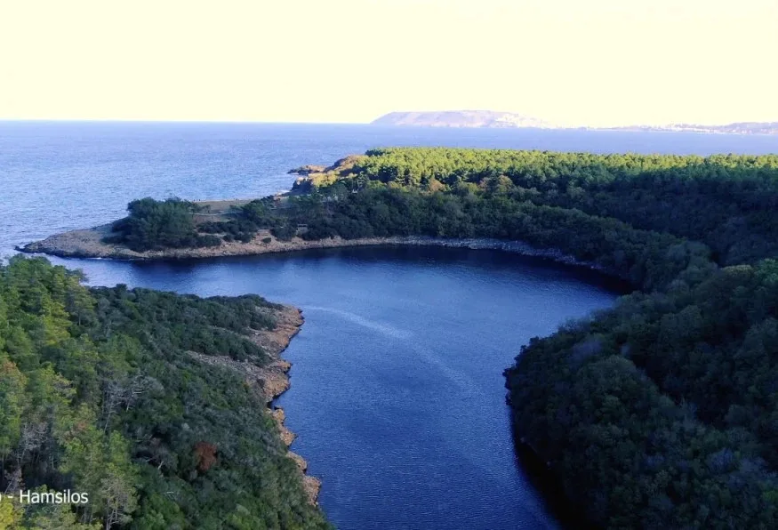 Daily Sinop Nature Tour — photo 5