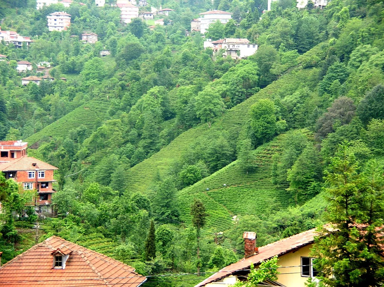 Daily Sumela Monastery and Uzungol Tour from Trabzon — photo 7