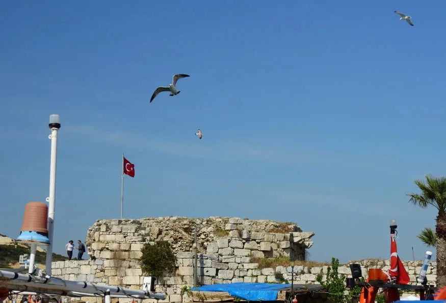 Daily Teos Ancient City & Sigacik Tour from Aydin — photo 5
