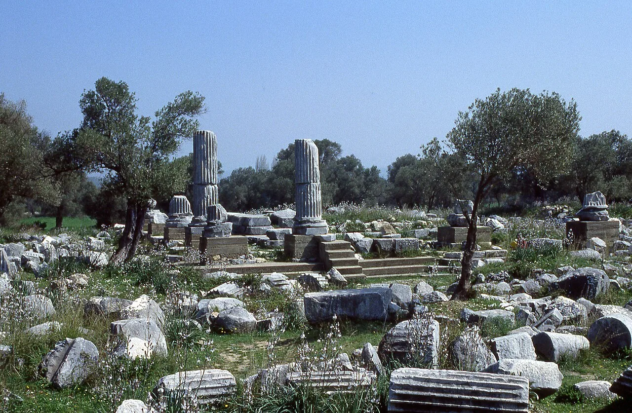 Daily Teos & Sigacik Tour from Didim – Sigacik Castle & Temple of Dionysus — photo 7