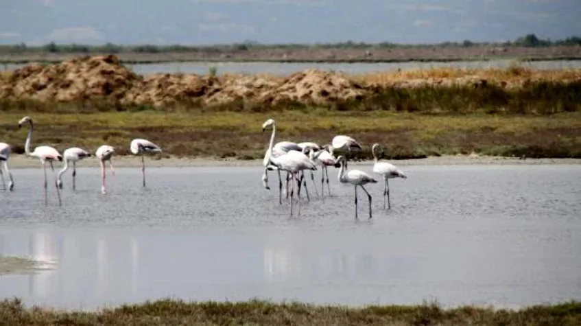 Daily Lake Gala National Park Tour from Edirne — photo 2