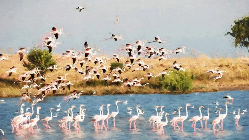 Daily Lake Gala National Park Tour from Edirne — photo 3