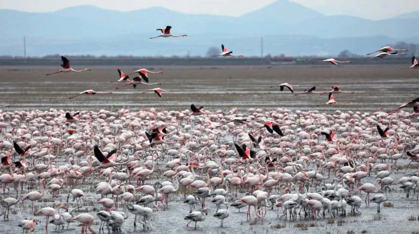 Daily Lake Gala National Park Tour from Edirne — photo 4