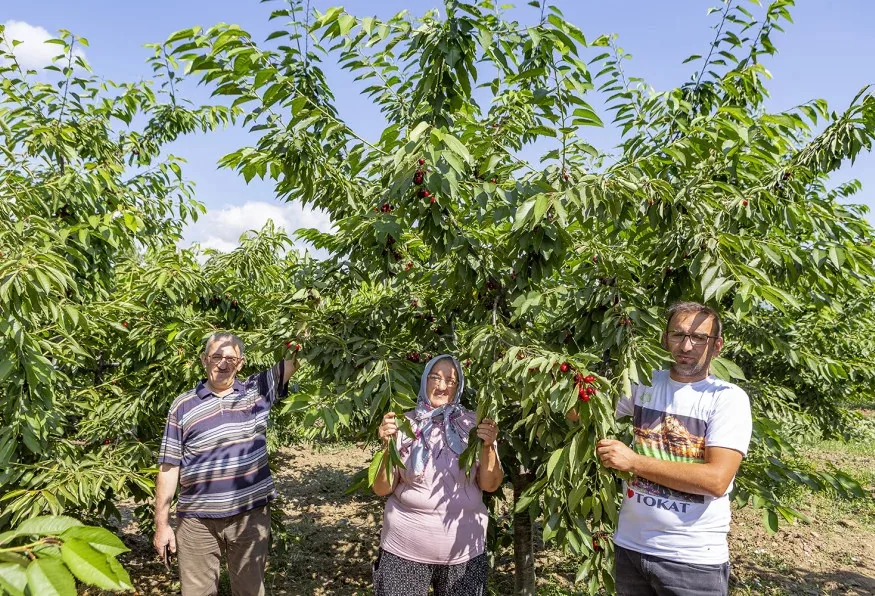 Daily Tokat Eco & Wine Tasting Tour — photo 3