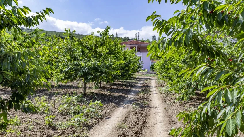 Daily Tokat Eco & Wine Tasting Tour — photo 5