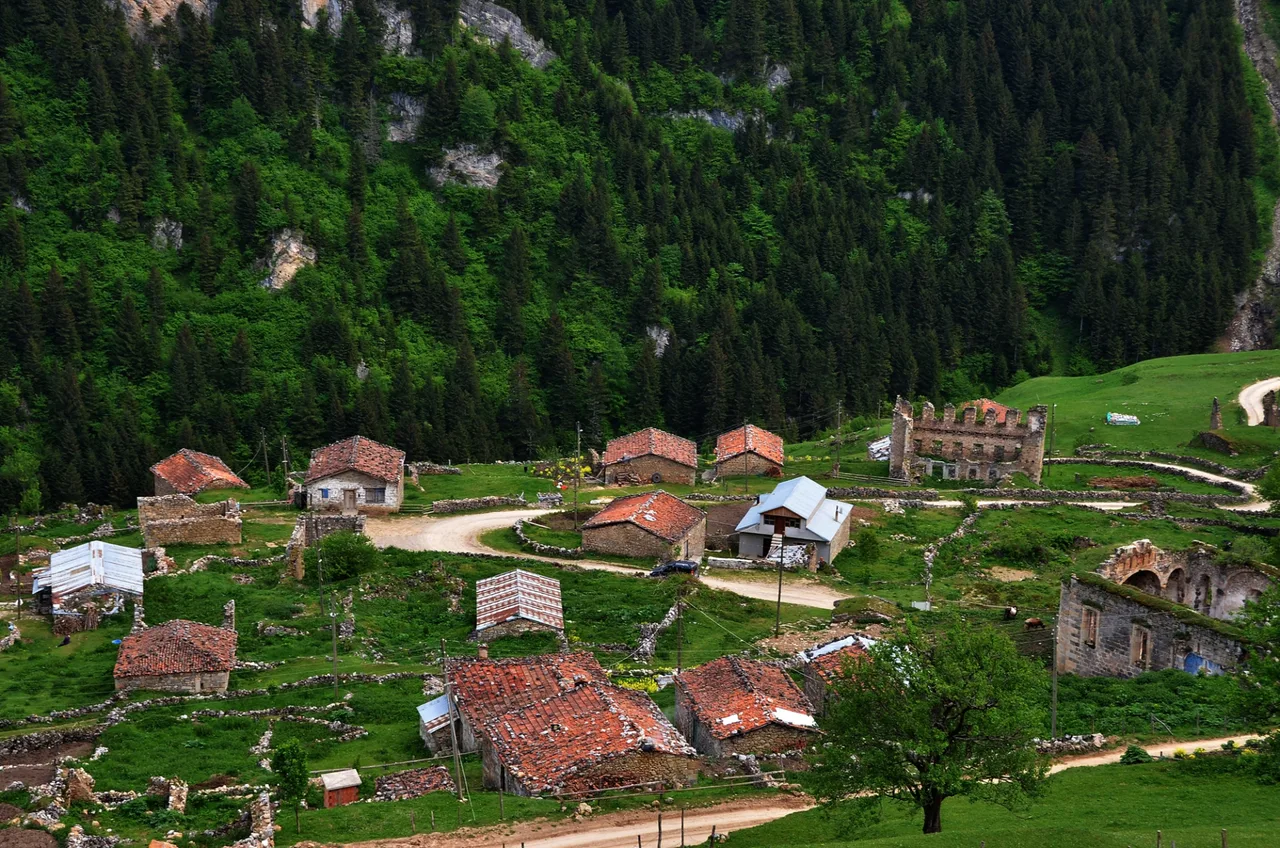 Daily Trabzon Zigana Mountain Tour — photo 14