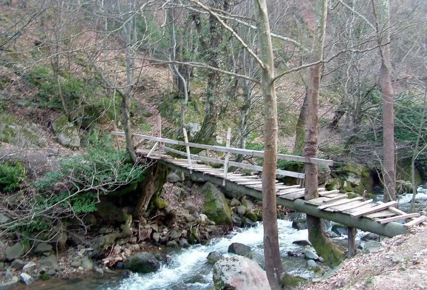 Daily Yalova City Tour — photo 7