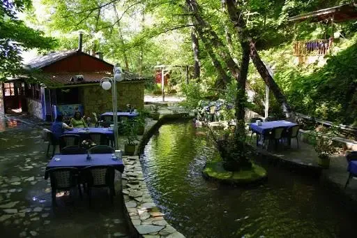 Daily Yalova City Tour — photo 10