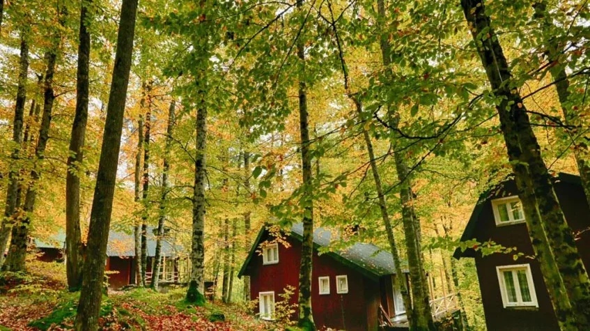 Daily Yedigoller Tour from Bolu — photo 2