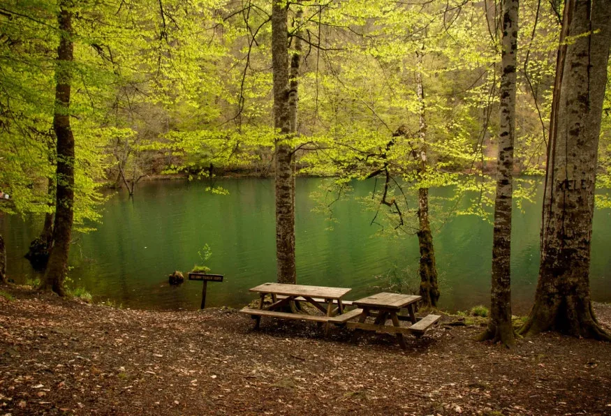 Daily Yedigoller Tour from Bolu — photo 3