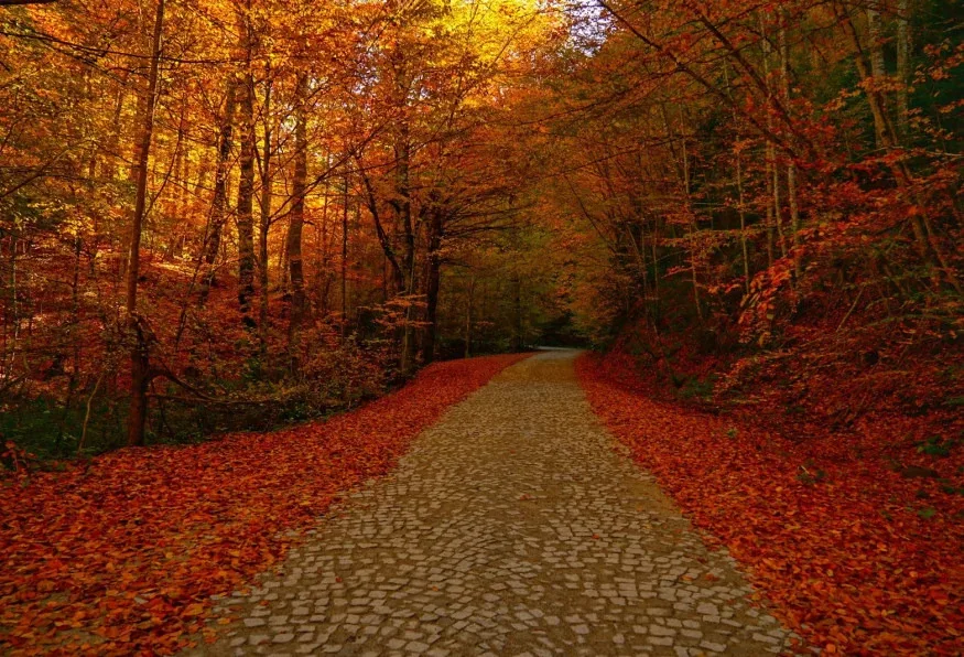 Daily Yedigoller Tour from Bolu — photo 4