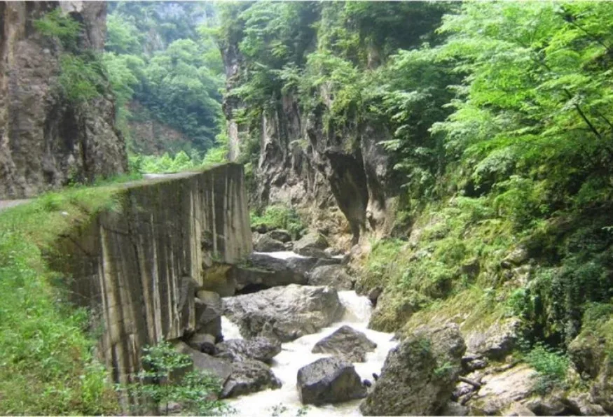 Daily Yenice Forest Nature Tour from Karabuk