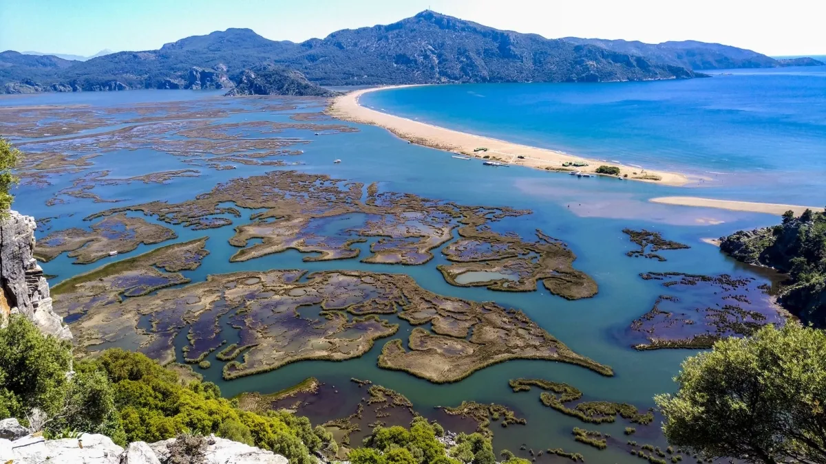 Dalyan Mud Bath Boat Trip from Fethiye – Rock Tombs & Iztuzu Beach