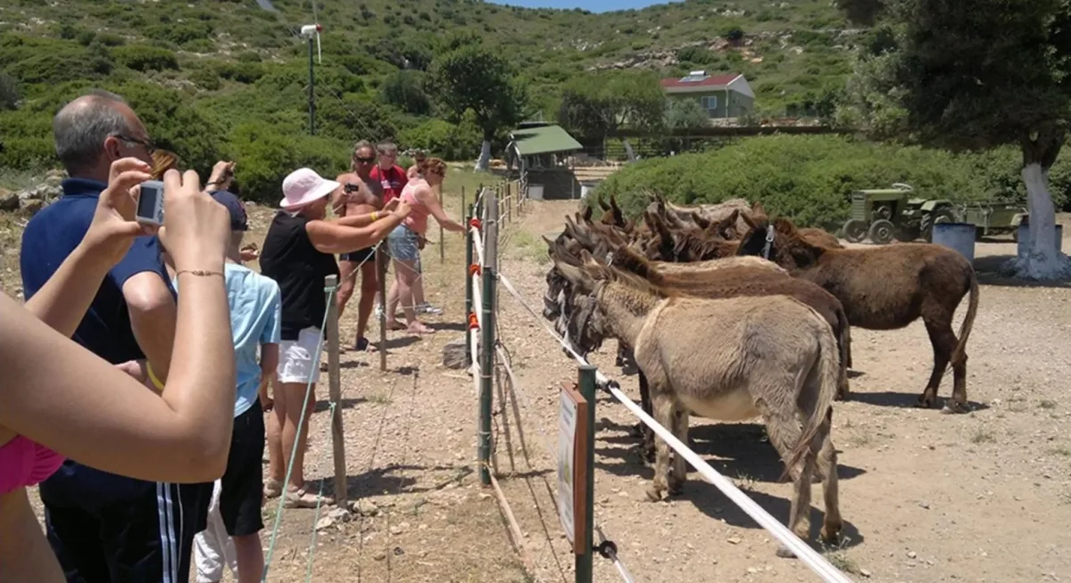 Cesme Islands & Bays Boat Trip from Cesme – Aquarium Bay & BBQ Lunch — photo 8