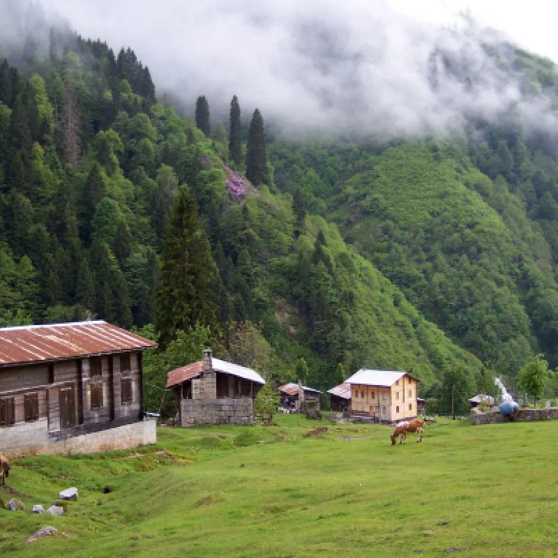 4-Day Eastern Black Sea Tour from Trabzon – Uzungol, Ayder & Sumela (Private Tour) — photo 5