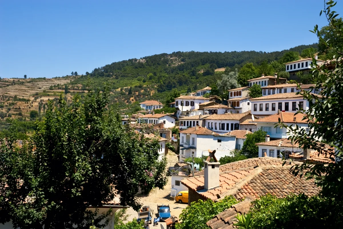Ephesus & Wine Tasting Tour from Kusadasi Port — photo 6