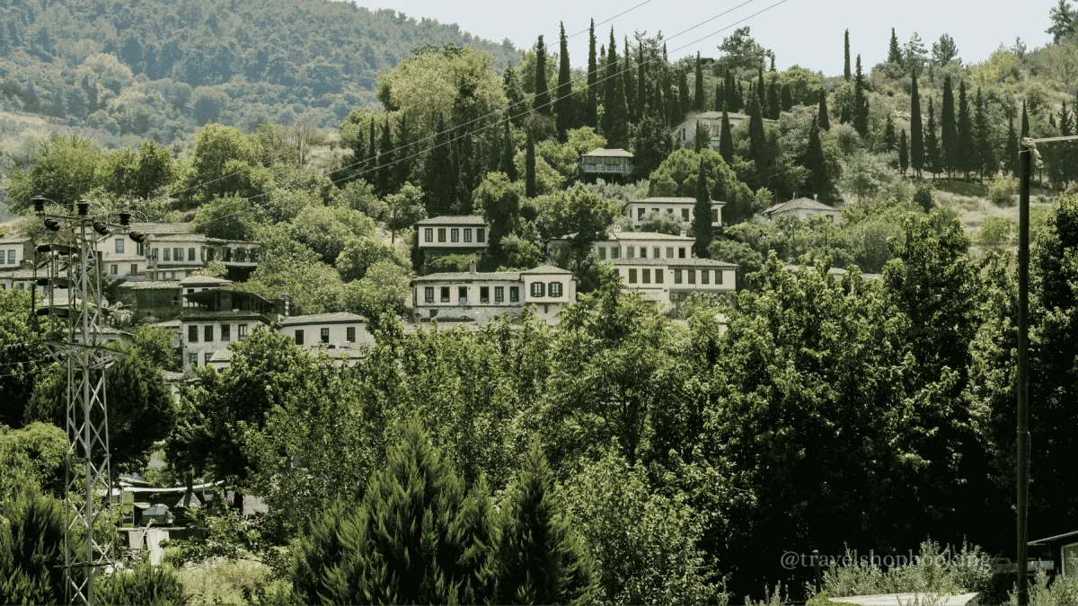Daily Ephesus Tour from Kusadasi – House of Virgin Mary & Sirince (Shared)